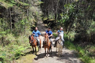 Horseback Riding Coffee Farm Tour with Coffee Spa