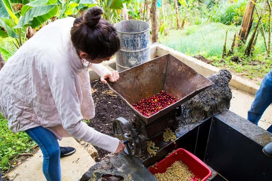 Medellin: Horseback Riding Coffee Farm Tour with Coffee Spa - Practical tips for a smoother day