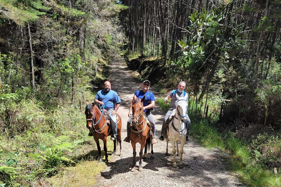 Medellin: Horseback Riding Coffee Farm Tour with Coffee Spa - Getting to Arvi and into the mountains