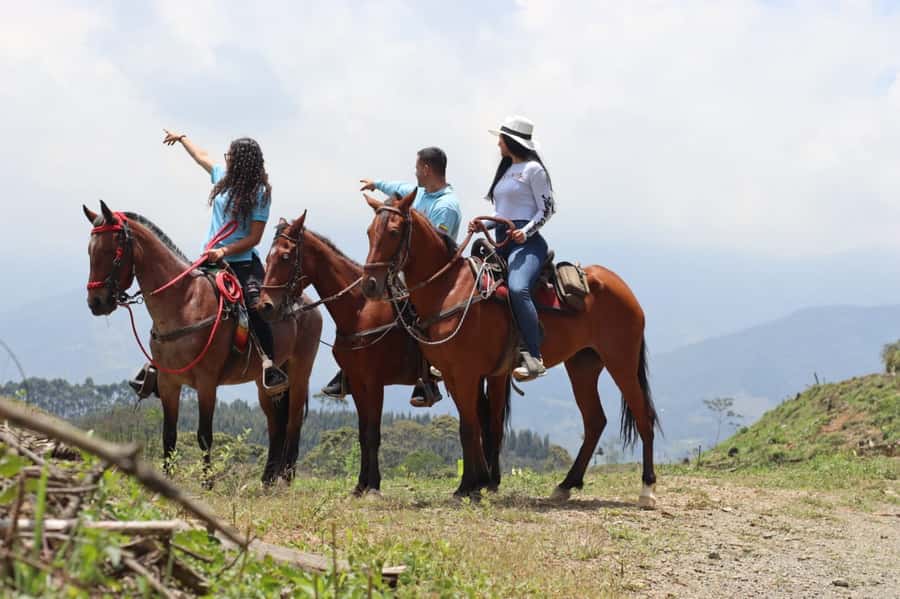 Medellin: Horseback Riding in the Medellin Mountains - Who should book this ride?