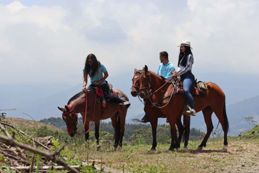Medellin: Horseback Riding in the Medellin Mountains - Breaks with snacks, drinks, and rural hospitality