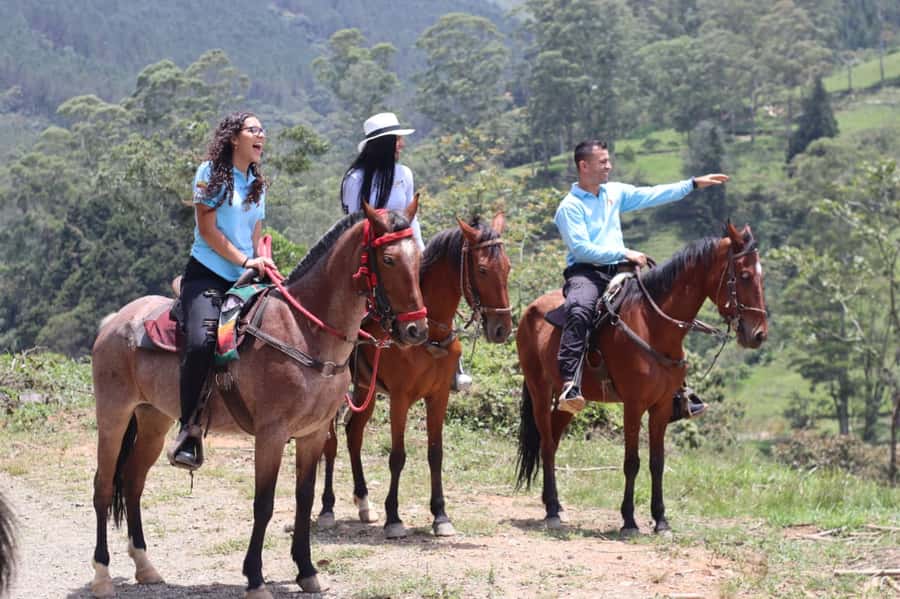 Medellin: Horseback Riding in the Medellin Mountains - What the $70 price covers