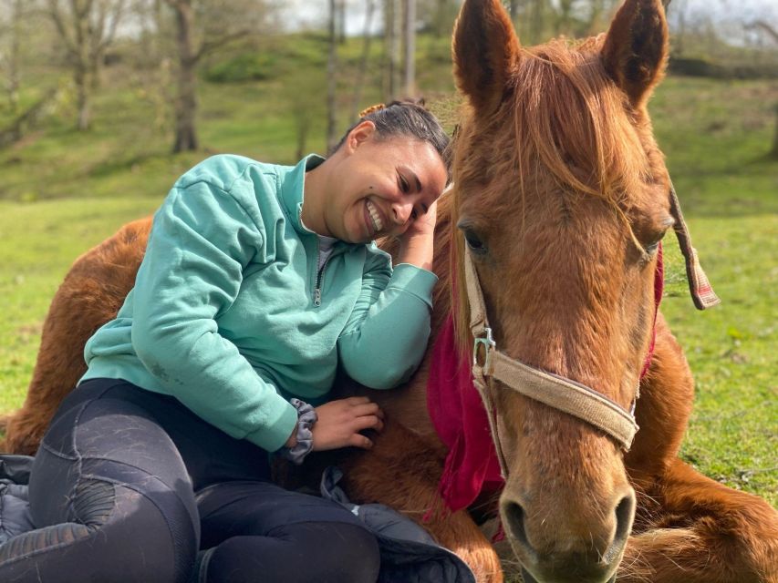 Meditate With Horses - Meeting rescued horses near Ambleside