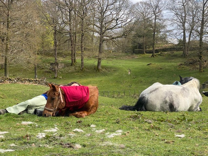 Meditate With Horses - Booking tips for a smoother morning