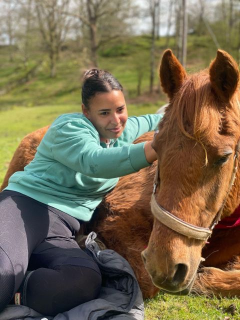 Meditate With Horses - What the first 30 minutes are for