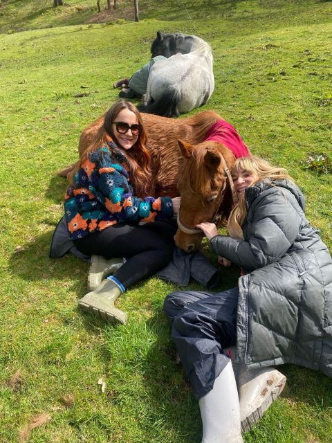 Meditate With Horses - Guided meditation beside the horses