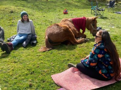 Meditate With Horses