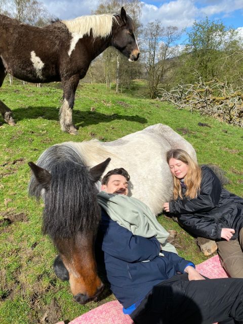 Meditate With Horses - A one-hour pause in the Lake District