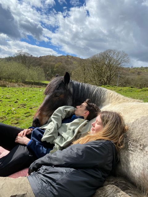 Meditate With Horses - What the full two to six hours really means