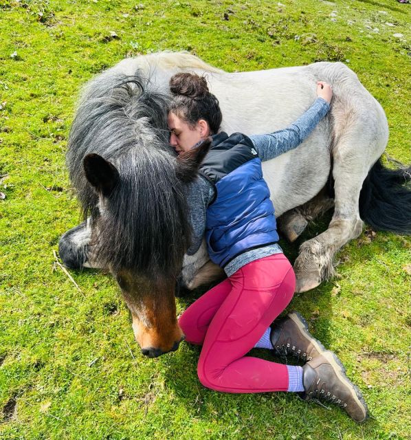 Meditate With Horses - Who will get the most from this