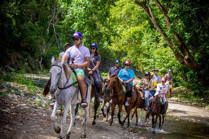 Mega Extreme Adventure: Horseback Riding, Ziplining and more - Dominican lunch and a farm setting
