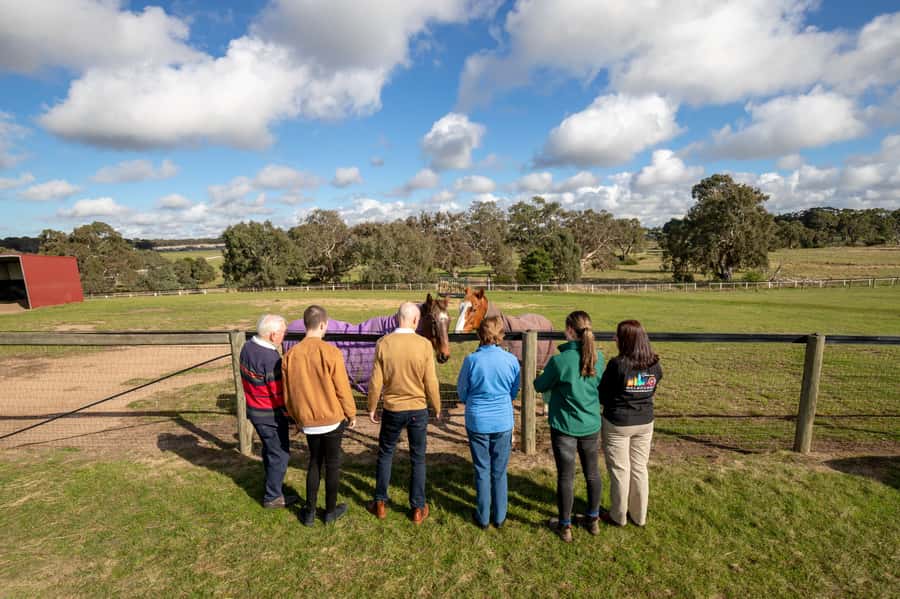 Melbourne: Full-Day Horses, Wine, and Beer Tour - Holgate Brewery brings the country-pub finish