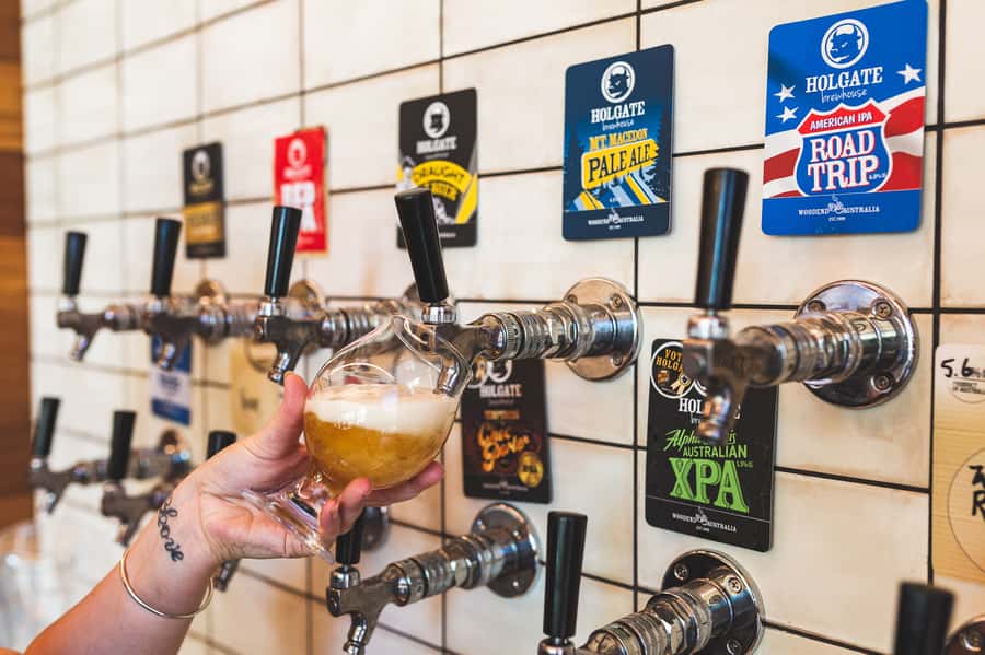 Melbourne: Full-Day Horses, Wine, and Beer Tour - Practical details that matter on the day