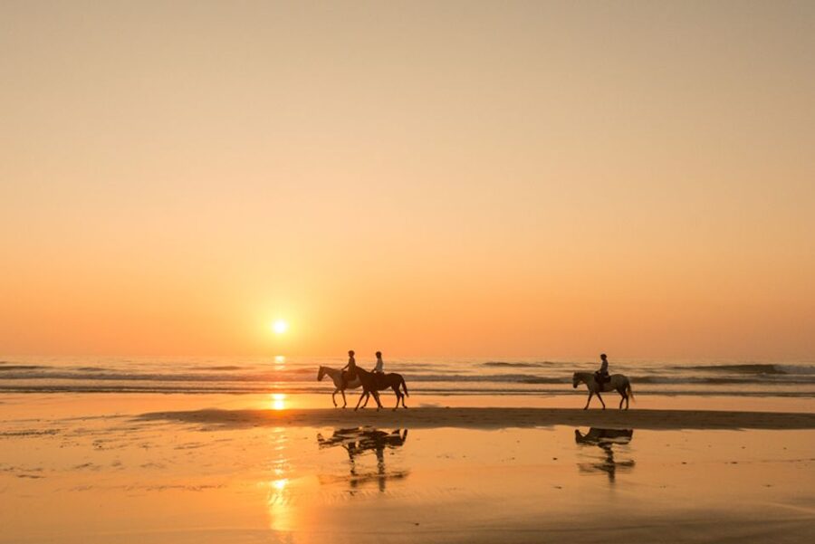 Melides: Horse Riding on the Beach with Wine Tasting - Key points to know before booking