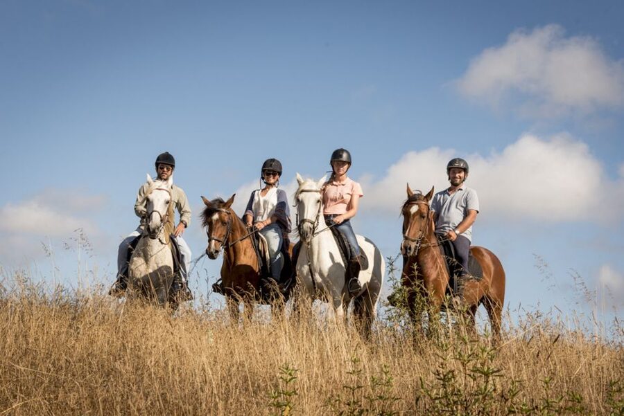 Melides: Horse Riding on the Beach with Wine Tasting - Riding from the pine woods to the Atlantic