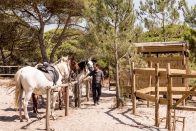 Horse Riding on the Beach with Wine Tasting