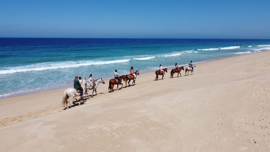 Melides: Horseback Riding on Melides Beach - Key points to know before you book