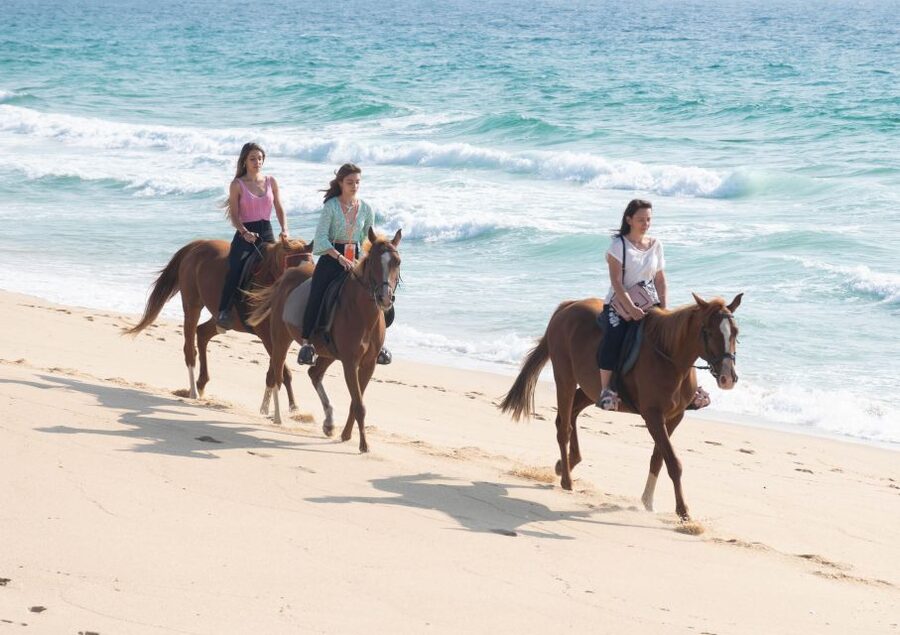 Melides: Horseback Riding on Melides Beach - Should you book Melides Beach on horseback?