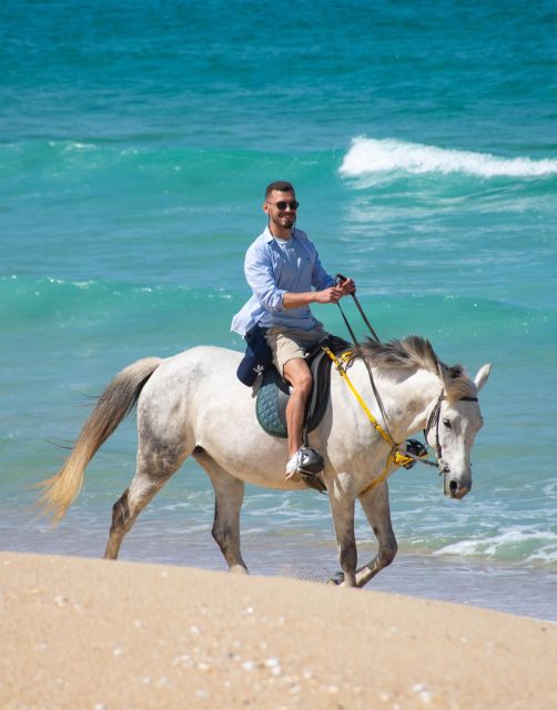 Melides: Horseback Riding on Melides Beach - From Horses by the Beach into the Atlantic forest
