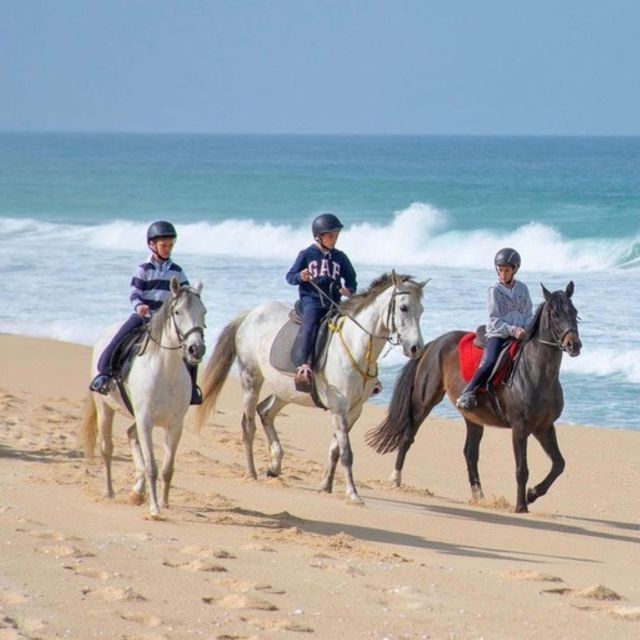 Melides: Horseback Riding on Melides Beach - Who should book this ride