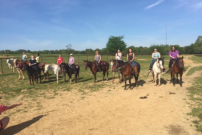 Memphis Horseback Trail Ride Tour - Key points to know before you saddle up