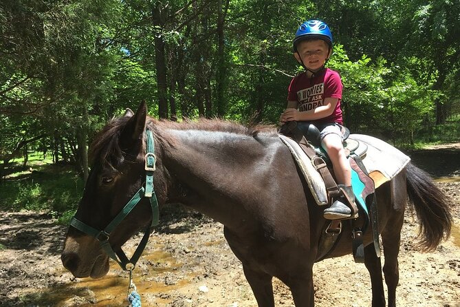 Memphis Horseback Trail Ride Tour - What the one-hour ride actually feels like