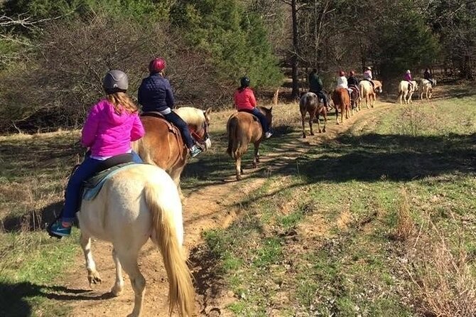 Memphis Horseback Trail Ride Tour - Wildlife and scenery, with realistic expectations
