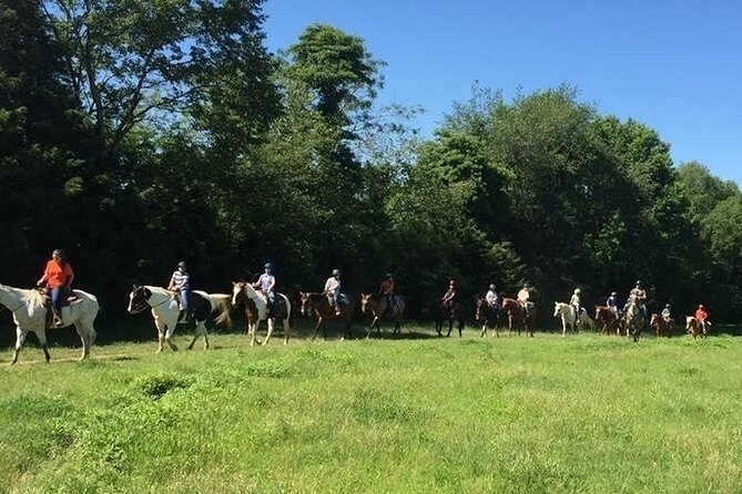Memphis Horseback Trail Ride Tour - Who should book this Memphis ride?