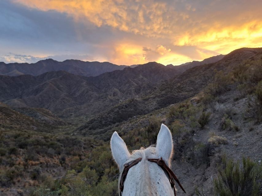 Mendoza: Sunset Horse Back Riding in the Mountains and BBQ - Who will enjoy this, and who should skip it