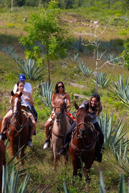 Mérida: Jungle & Cenotes Tour with Horseriding & Lunch - Key points to know before booking