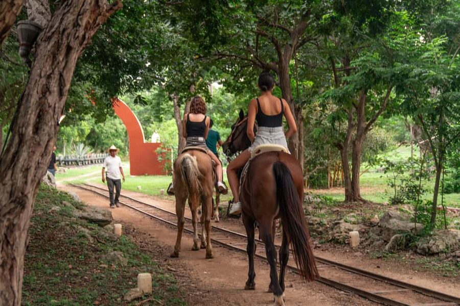 Mérida: Jungle & Cenotes Tour with Horseriding & Lunch - Cenotes with very little built around them