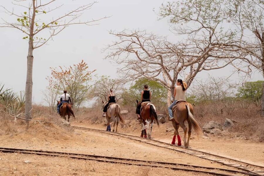 Mérida: Jungle & Cenotes Tour with Horseriding & Lunch - Fitness, family needs, and riding ability