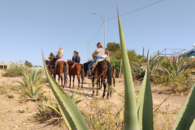 Mexican Equestrian Experience - Key points to know before you book