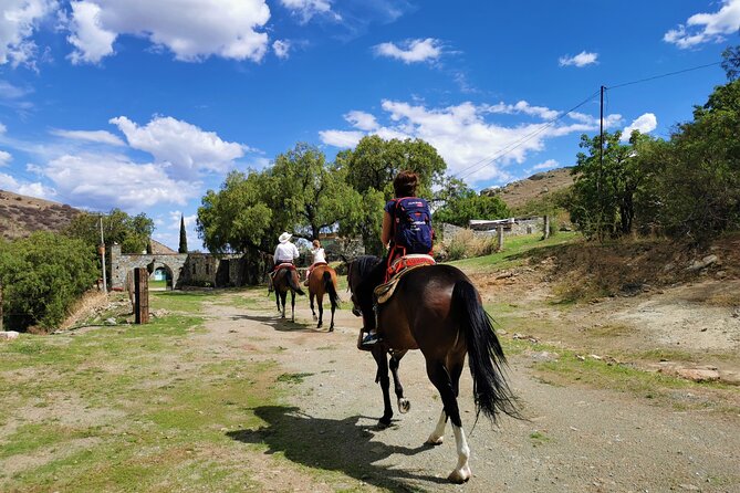 Mexican Equestrian Experience - From Guanajuato’s alleys to the mountain trails