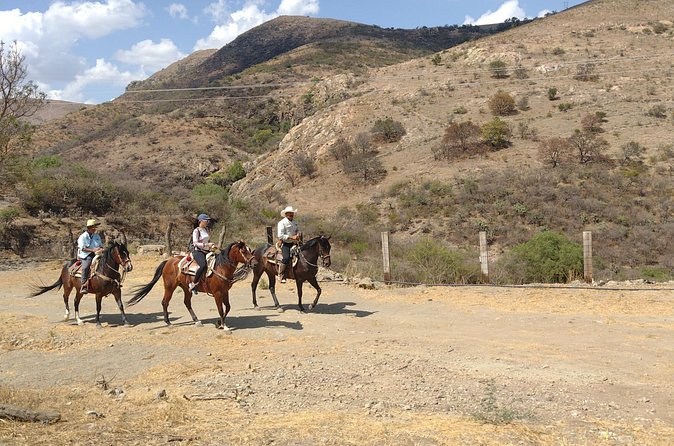 Mexican Equestrian Experience - Private touring makes the cost easier to assess