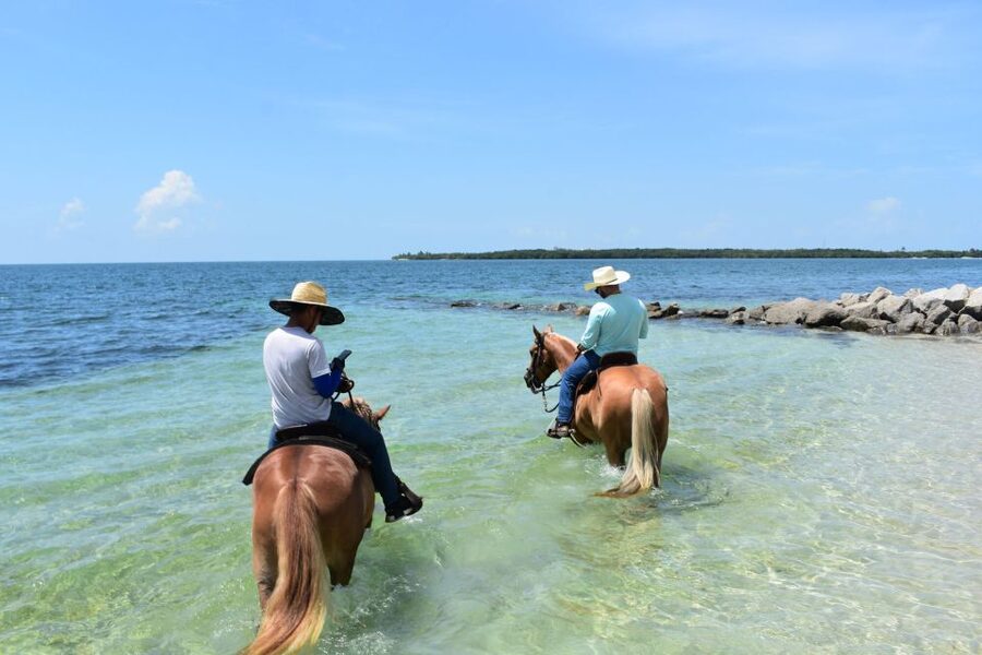 Miami: Beach Horse Ride & Nature Trail - From the ranch to Virginia Key’s shoreline