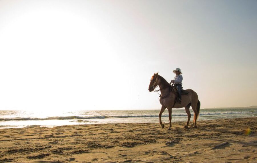 Miami: Beach Horse Ride & Nature Trail - Why the small group makes a difference