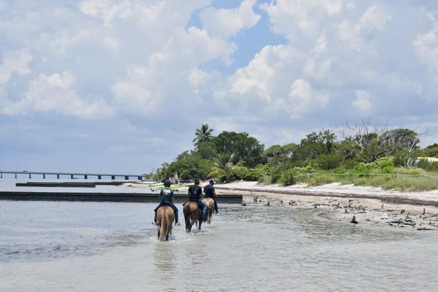 Miami: Beach Horse Ride & Nature Trail - The beach finish is the memorable part
