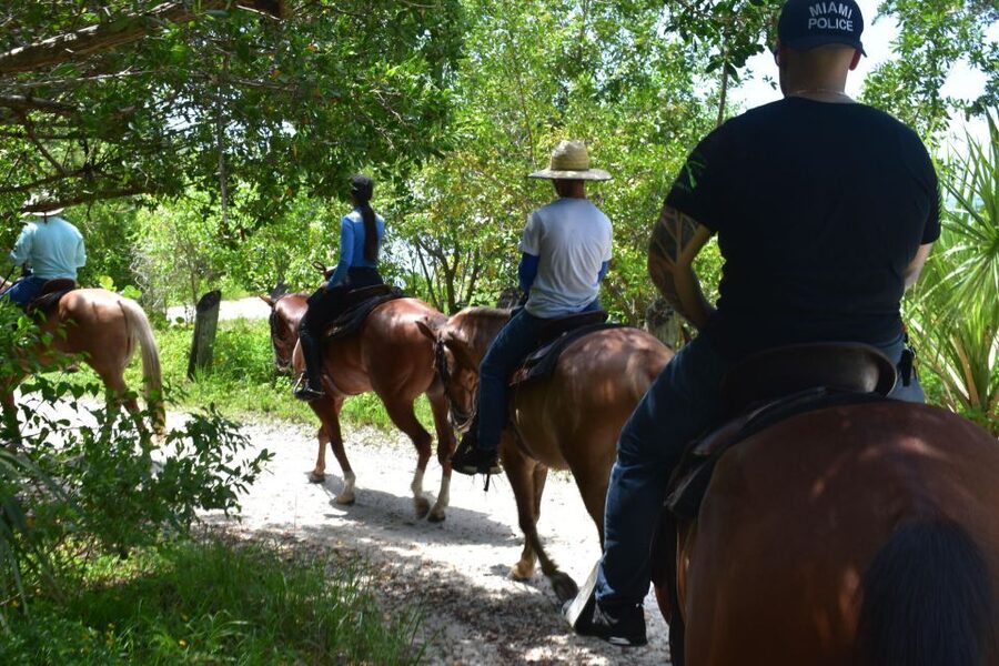 Miami: Beach Horse Ride & Nature Trail - What to bring and how to prepare