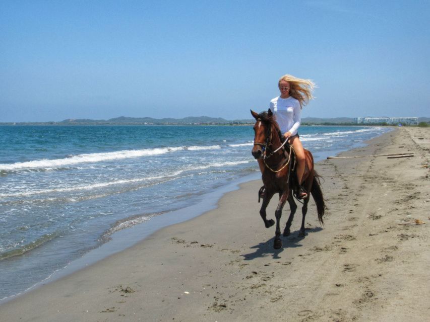 Miami: Beach Horse Ride & Nature Trail - Final verdict: book it for the setting, not the speed