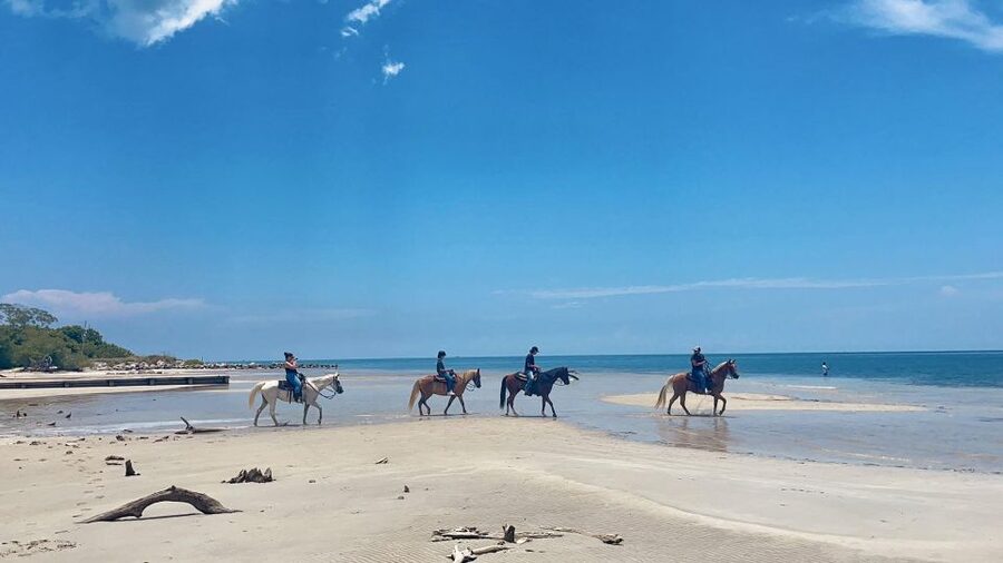 Miami: Beach Horse Ride & Nature Trail - The nature trail gives the hour some substance