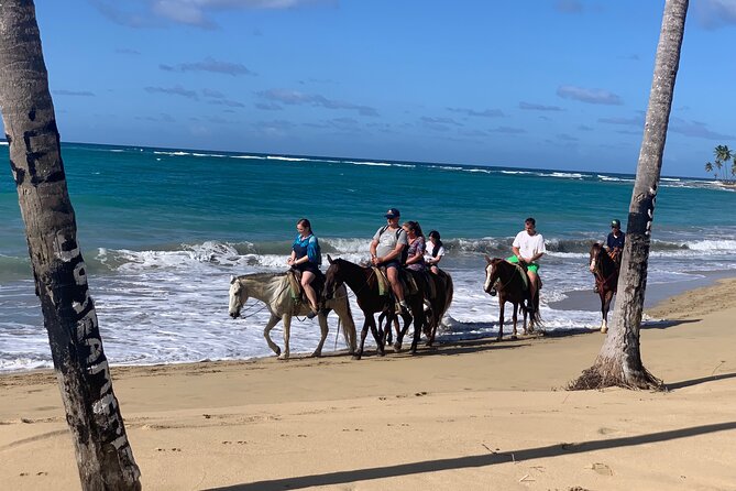 Miches Beach Horseback Riding - Who will enjoy this most