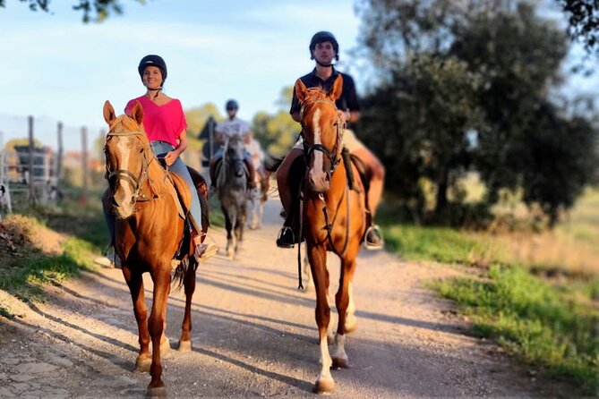 Middle day out of Rome on Horseback with meals included - The mini house and included meals