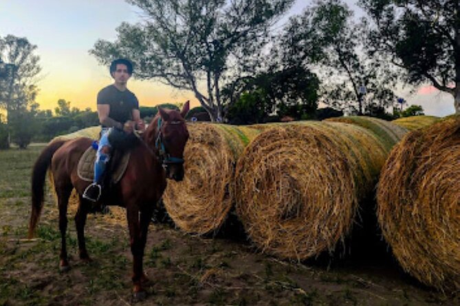 Middle day out of Rome on Horseback with meals included - What the riding experience may feel like