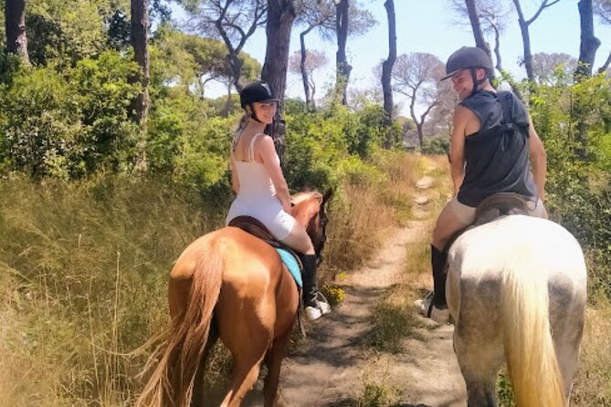 Middle day out of Rome on Horseback with meals included - Is the $14 price really good value?