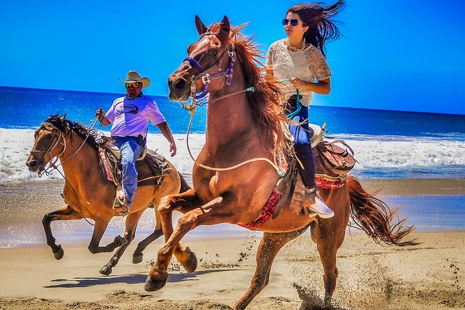 Migriño Beach Horseback Riding Experience - From the shore into the desert