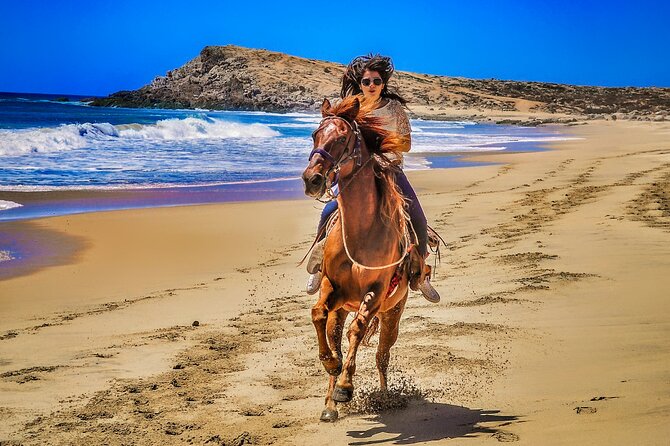 Migriño Beach Horseback Riding Experience - Sunsets, whales, and the open Pacific