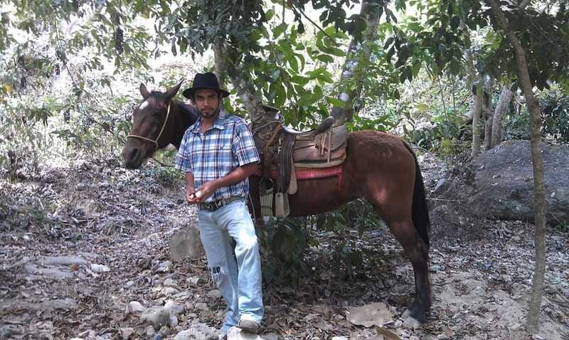 Mismaloya Jalisco: Rancho Manolo Horseback Tour - Key points to know before booking
