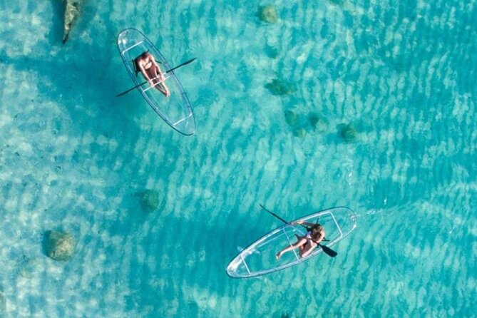 Mnemba Dolphin Tour, Clear Kayak, Cooking Class, Horse Riding - Is $220 a fair price?