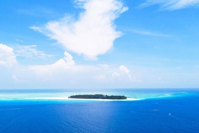 Mnemba Dolphin Tour, Clear Kayak, Cooking Class, Horse Riding - Clear kayaking at Kendwa Beach